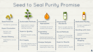 Seed to Seal Promise