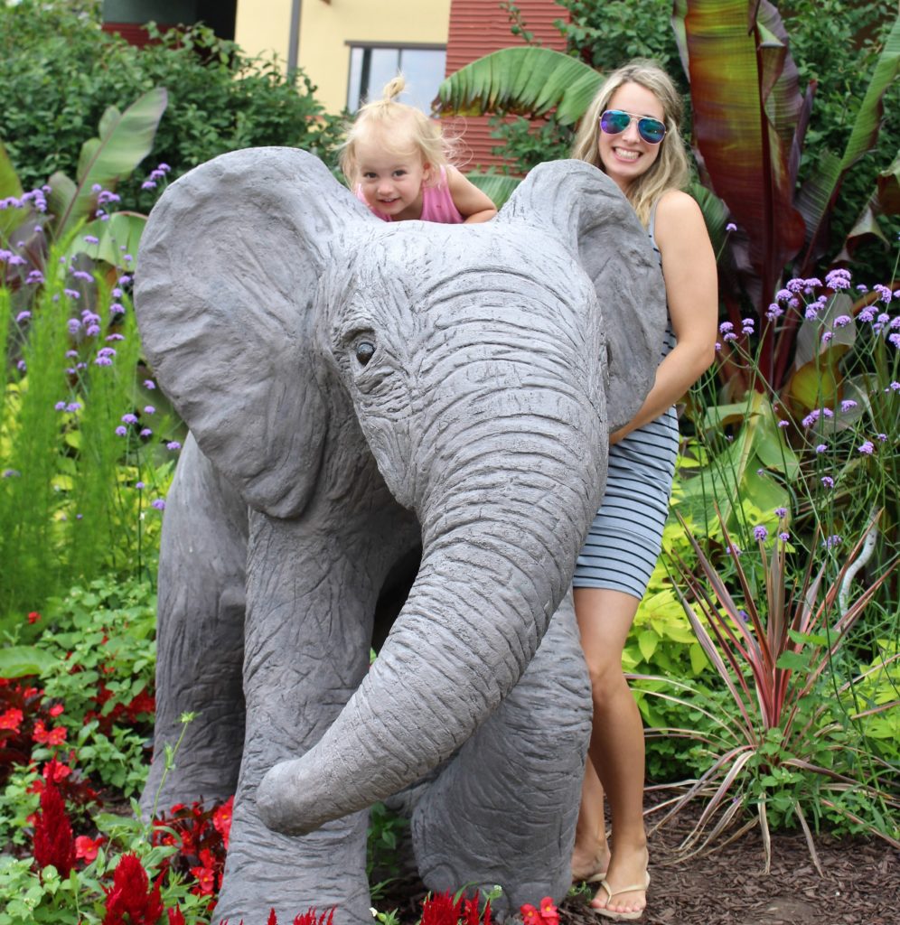 cheesin with baby elephant