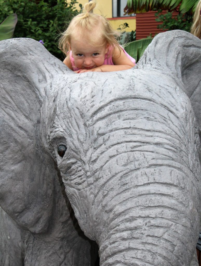 elephant kisses