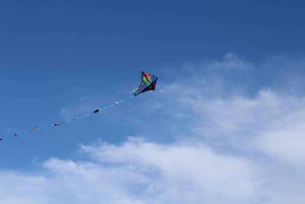 kite high in the sky