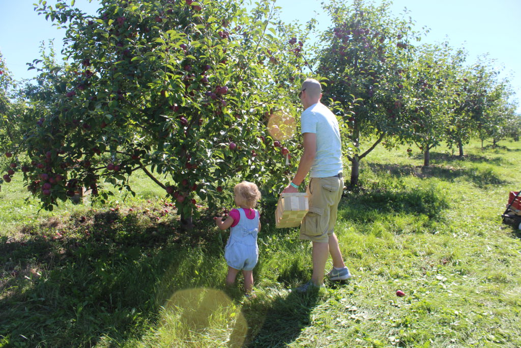 family fun on the farm