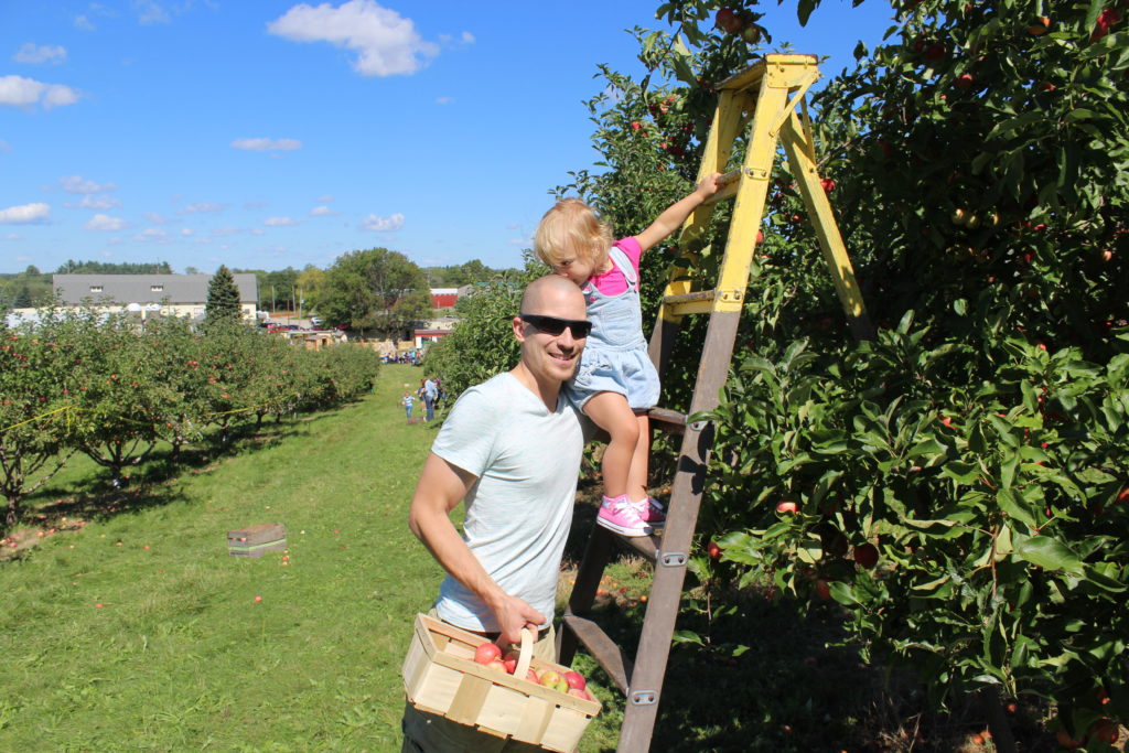 apple picking