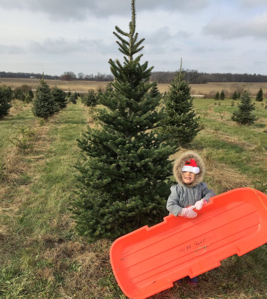 Ostrowski family Christmas tree