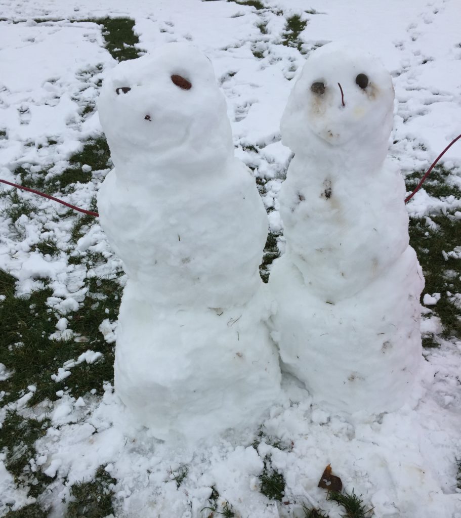 our snow people
